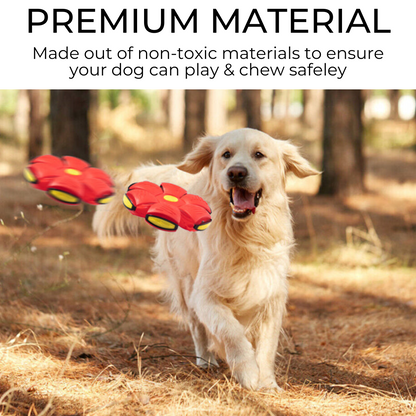 Ultimate Dog Frisbee